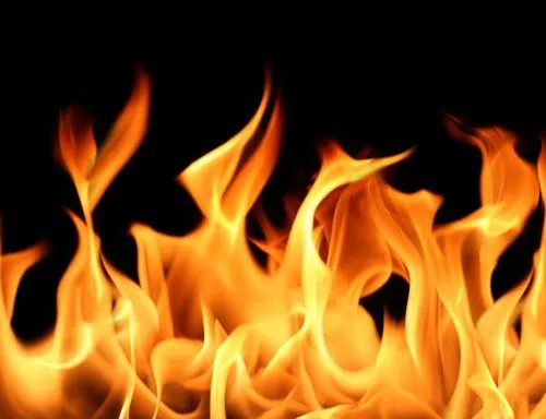 Passion Food Group To Open Mexican Restaurant Fuego Cocina and ... Passion Food Group To Open Mexican Restaurant Fuego Cocina and ...