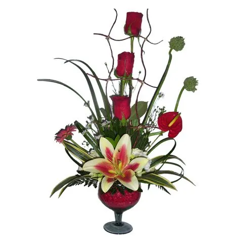 PASSIONARIA FLORERIA´S - Tuxtla Gutiérrez