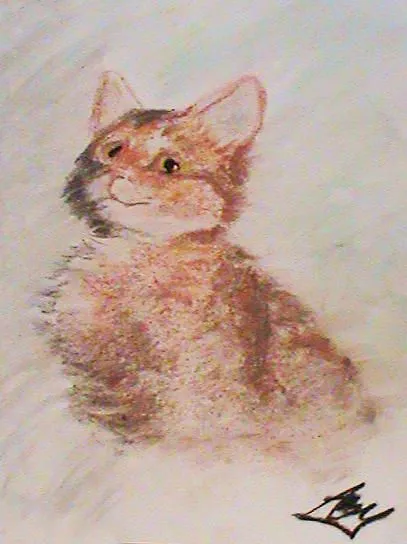 Pastel Kitty Drawing by Annissa Beynon - Pastel Kitty Fine Art ... Pastel Kitty Drawing by Annissa Beynon - Pastel Kitty Fine Art ...