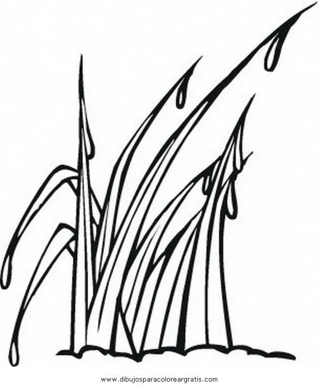 Dibujo de pasto para colorear - Imagui