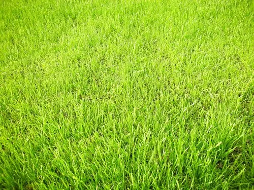 pasto cesped green verde grass freejpg.com.ar | Flickr - Photo ... pasto cesped green verde grass freejpg.com.ar | Flickr - Photo ...