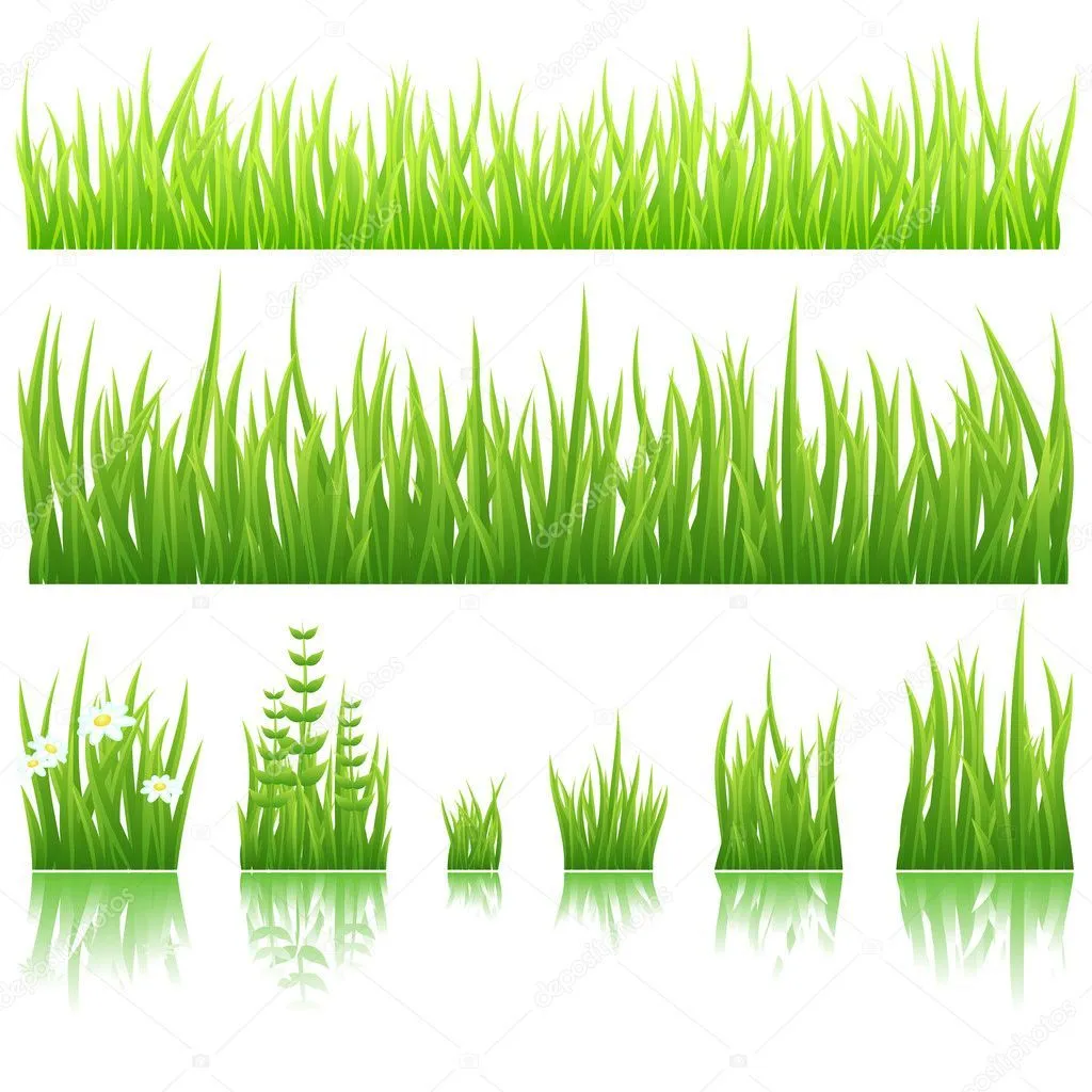 pasto verde con — Vector stock © Designer_things # pasto verde con — Vector stock © Designer_things #