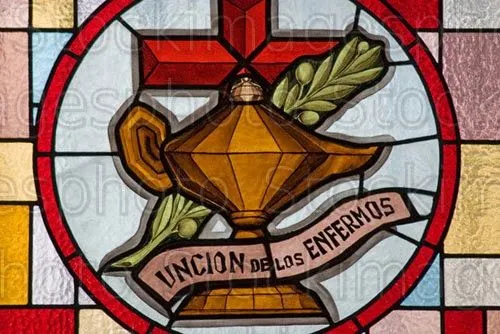 Pastoral de la salud, Bioética y Cuidados Paliativos (PASBIOPAL ...