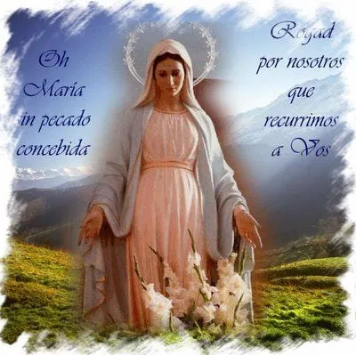 PASTORAL SAN JOSÉ EL ASTILLERO: Festividad de la Virgen Milagrosa