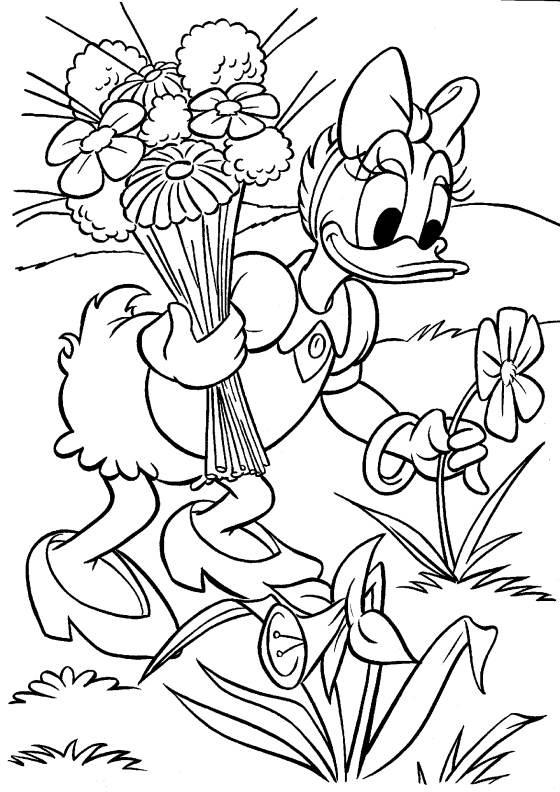 Pata daisy Dibujos para Colorear - DisneyDibujos.