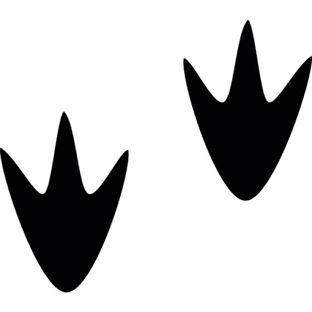 Patas palmeadas de pato | Descargar Iconos gratis Patas palmeadas de pato | Descargar Iconos gratis