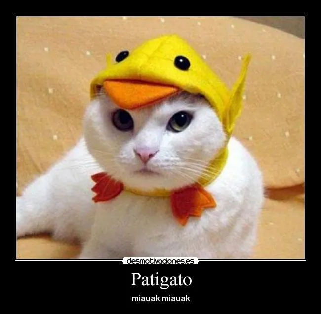 Patigato | Desmotivaciones