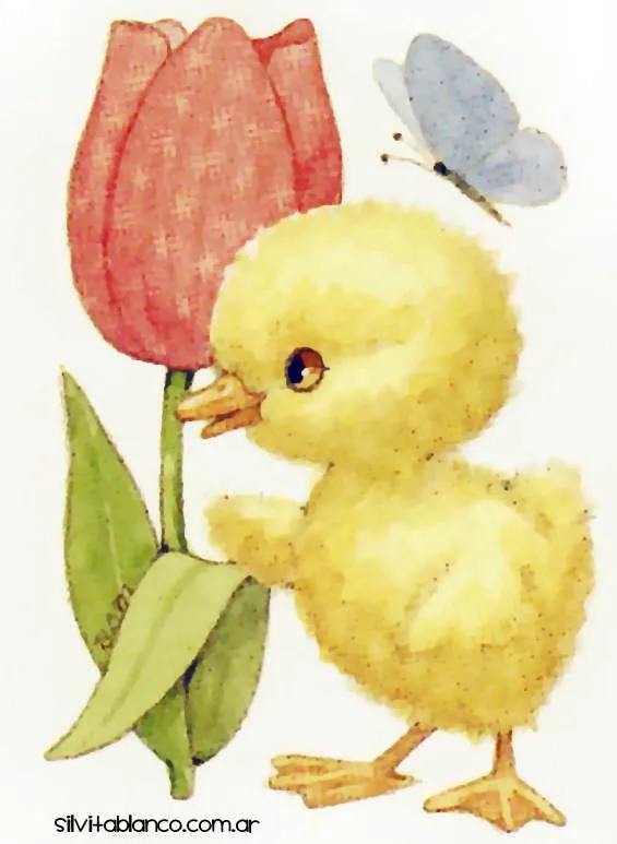 La Patita Cri Cri canciones infantiles para bajar