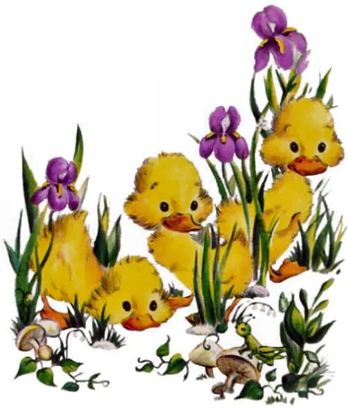 todos los patitos