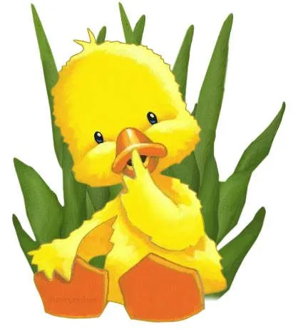 Patos Patitos