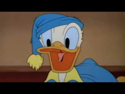 EL PATO DONALD NO PUEDE 'DORMIR' - YouTube