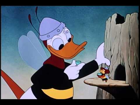 pato donald - abeja guardiana (español latino) - YouTube pato donald - abeja guardiana (español latino) - YouTube
