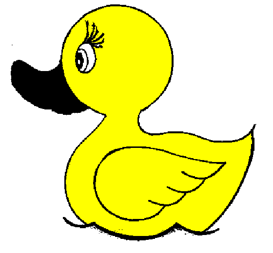 Pato gif - Imagui