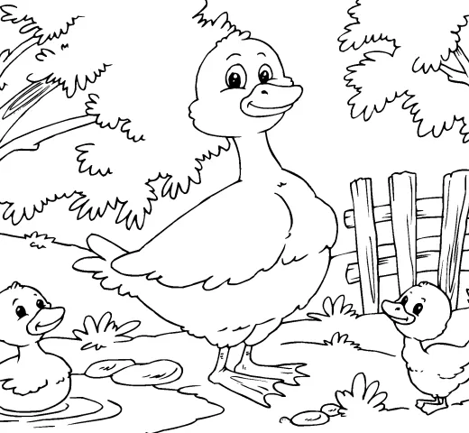 Pato-para-colorear-520x480.png