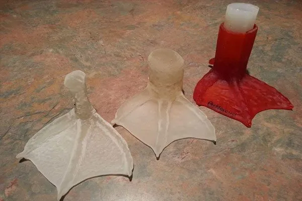 pato2_133111.jpg pato2_133111.jpg