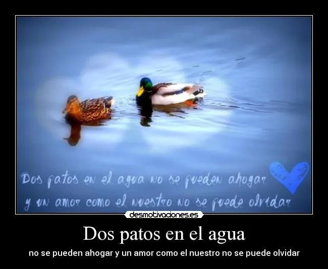 Dos patos en el agua | Desmotivaciones Dos patos en el agua | Desmotivaciones