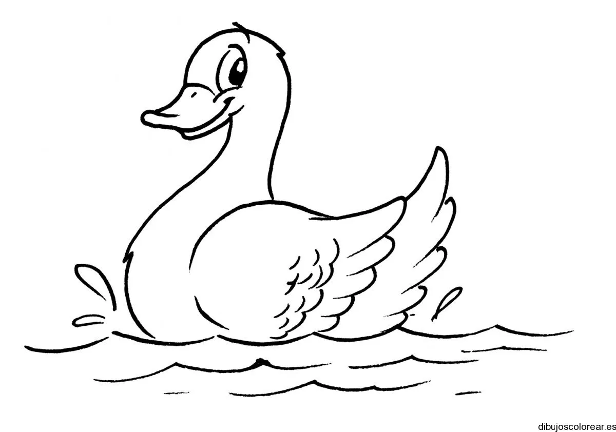 Patos | Dibujos para Colorear