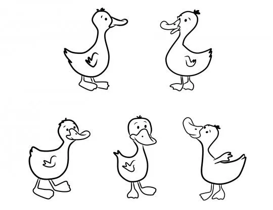 Patos-para-colorear-540x417.jpg