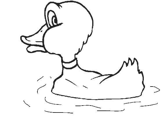 patos párrafo pintar Colouring Pages (page 3) patos párrafo pintar Colouring Pages (page 3)
