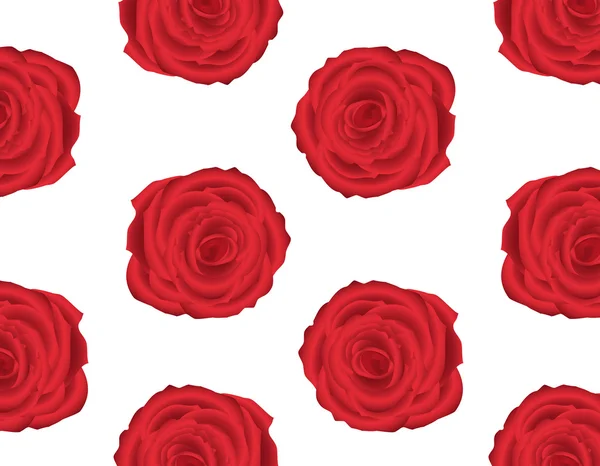 patrón de papel tapiz con de rosas rojas — Vector stock ...