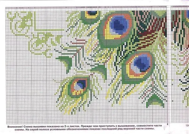 Patron de pavo real para bordar (6) | Punto de Cruz | Pinterest