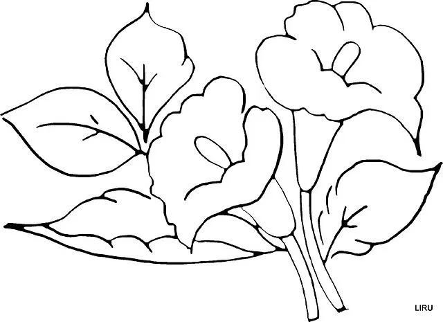 Dibujos para pintar de flores en tela - Imagui