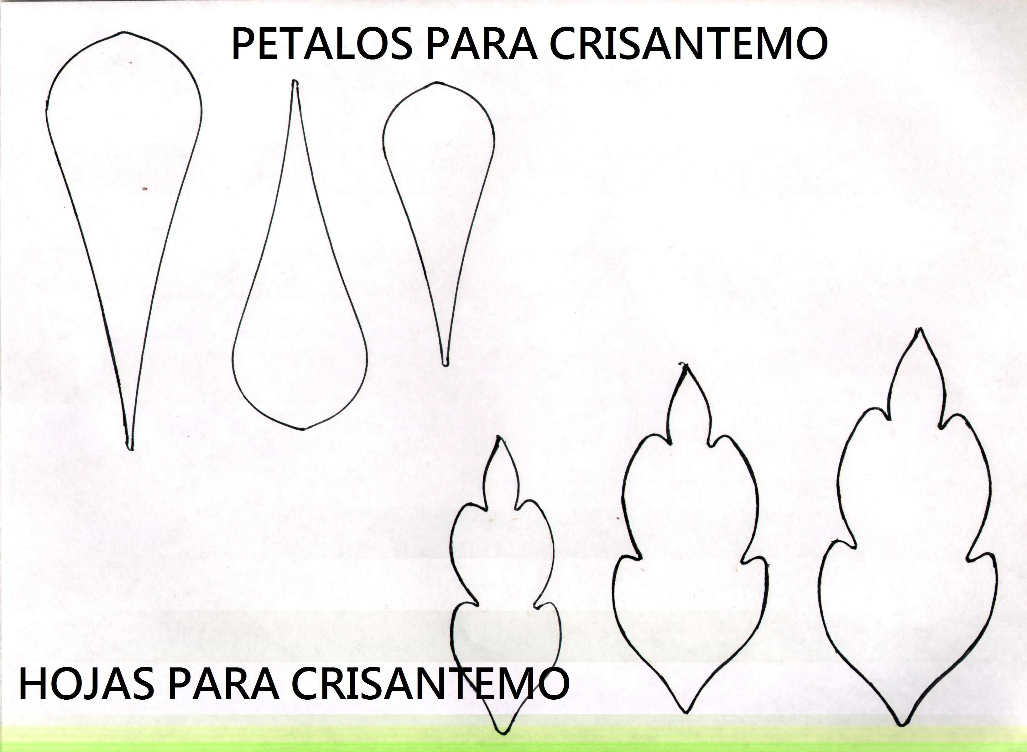 Patrón de crisantemo (pétalos y hojas) | Espacio de Cordura Patrón de crisantemo (pétalos y hojas) | Espacio de Cordura