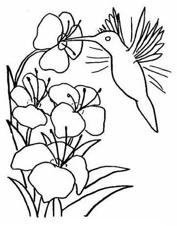 flores para pintar sobre tela
