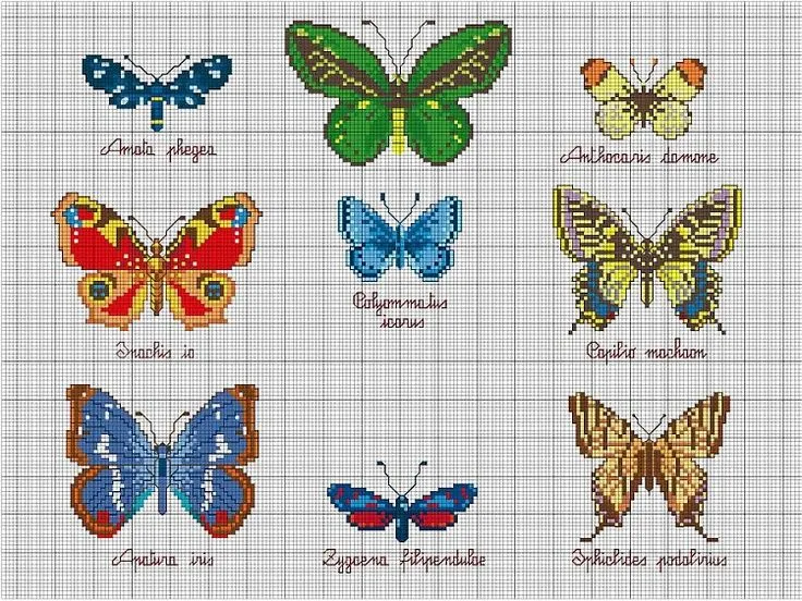 Mariposas punto de cruz patrón | Patrones para bordar | Pinterest Mariposas punto de cruz patrón | Patrones para bordar | Pinterest