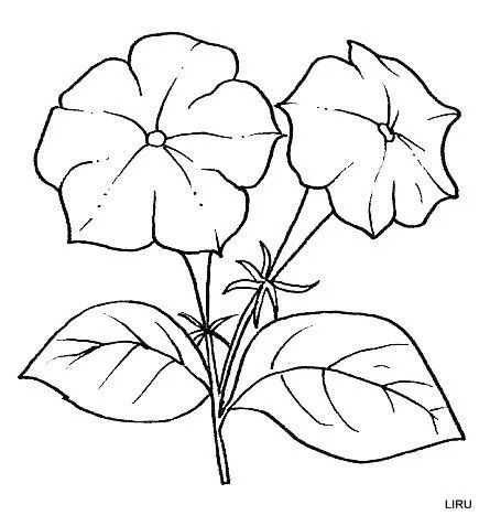 Patrones de ramos de flores para pintar en tela - Imagui Patrones de ramos de flores para pintar en tela - Imagui