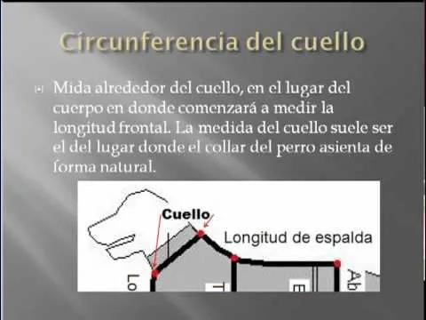 Patrones de ropa para perros en http://patonesderopa.com - YouTube Patrones de ropa para perros en http://patonesderopa.com - YouTube