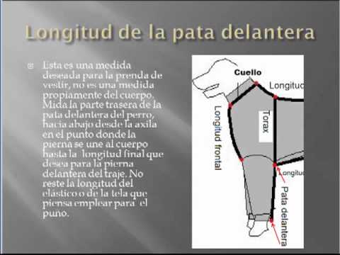 Patrones de ropa para perros de http://patronesderopa.com - YouTube Patrones de ropa para perros de http://patronesderopa.com - YouTube