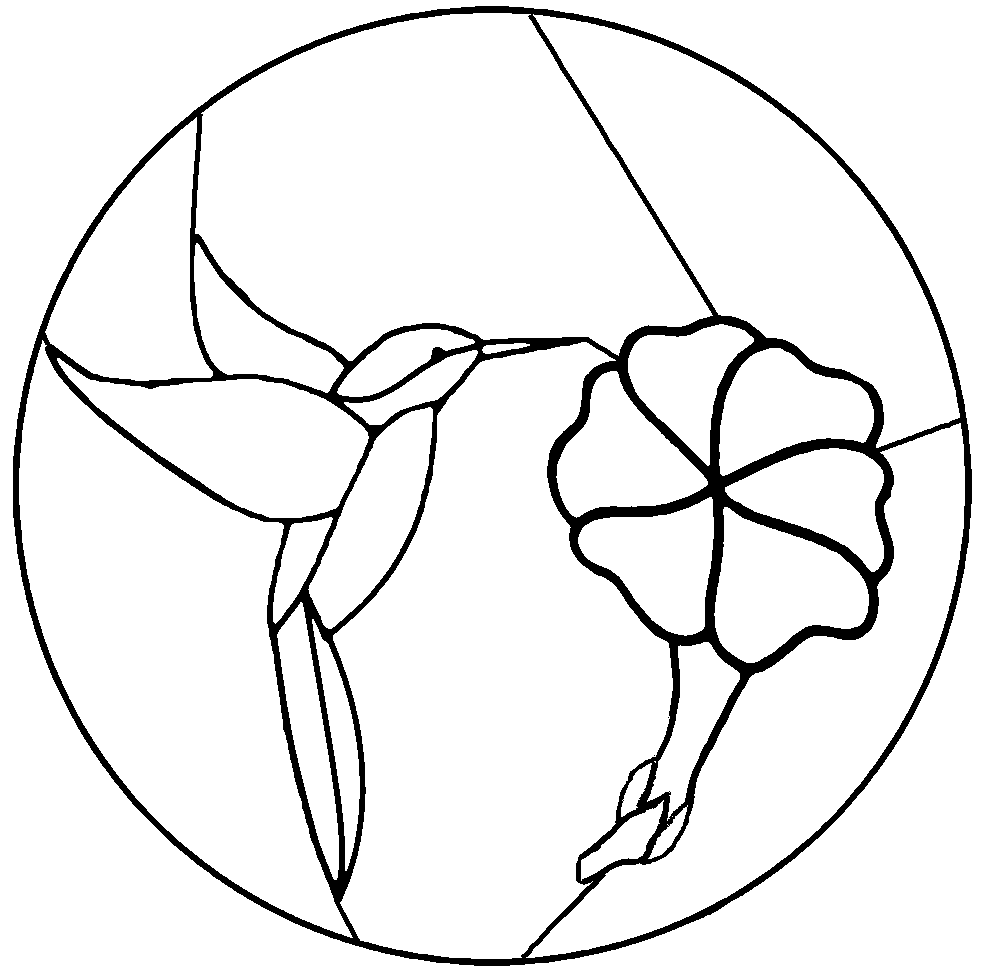 patrones para vitrales gratis - Buscar con Google | Stained glass patterns free, Stained glass patterns, Stained glass quilt patrones para vitrales gratis - Buscar con Google | Stained glass patterns free, Stained glass patterns, Stained glass quilt