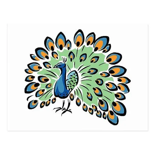 Pavo real colorido del dibujo animado postal | Zazzle Pavo real colorido del dibujo animado postal | Zazzle