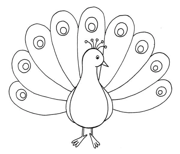 Pavo real dibujo para imprimir - Imagui