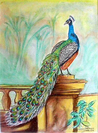 Dibujos de pavos reales a lapiz - Imagui