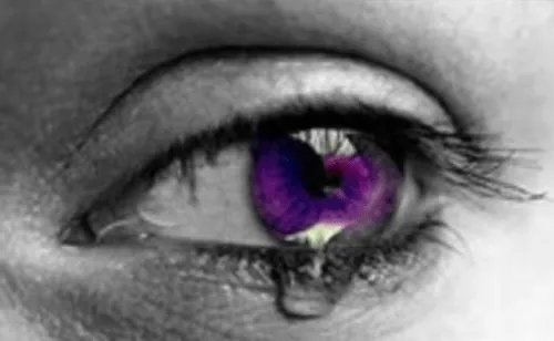 paz | cronicadeunatraicion