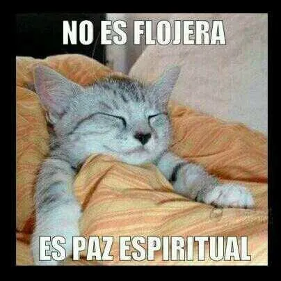 Paz Espiritual | animalez | Pinterest