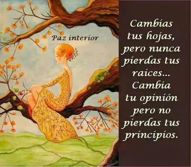 Paz interior | Reflexiónes y mensajes positivos | Pinterest ...