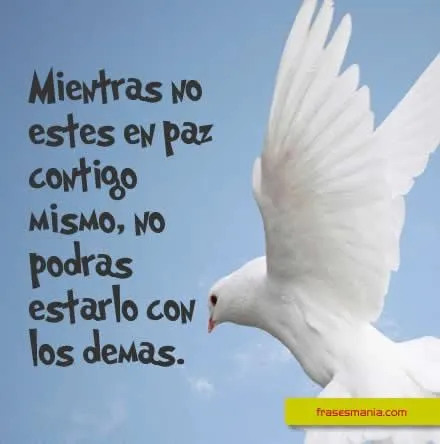 Mientras no estés en paz contigo mismo, no .... Frases. Mientras no estés en paz contigo mismo, no .... Frases.