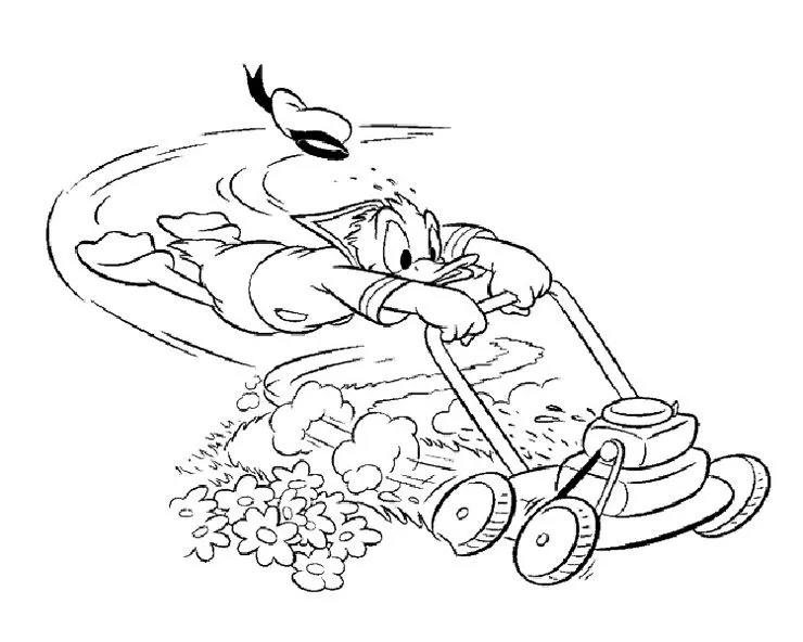 Pasto para pintar - Imagui