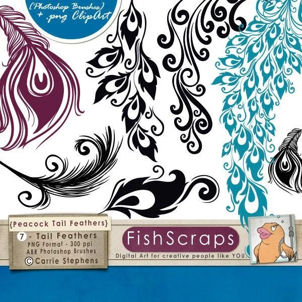 Peacock Tail Feathers Photoshop Brushes &amp; PNG by FishScraps