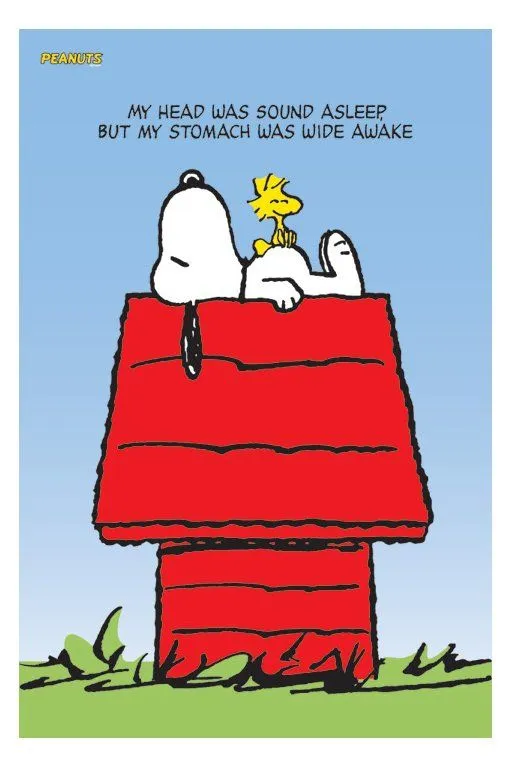 Peanuts Pics - Snoopy And The Gang!