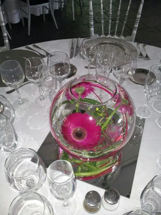 Pecera con gerberas | Cosas que adoro | Pinterest | Gerbera Pecera con gerberas | Cosas que adoro | Pinterest | Gerbera