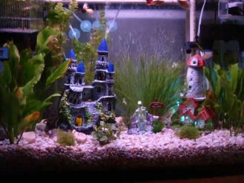 Pecera Hanner Acuario de Agua Dulce Peces Tropicales 80 l - YouTube