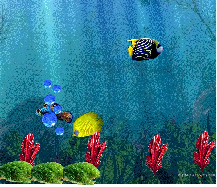 Peceras animadas - Imagui