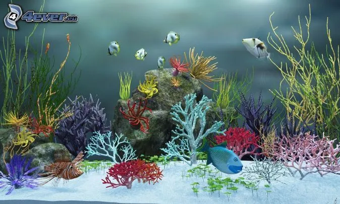 Peces