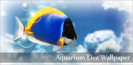 Upload de Imagenes: Aquarium Live Wallpaper 2.65 - Fondo de ... Upload de Imagenes: Aquarium Live Wallpaper 2.65 - Fondo de ...