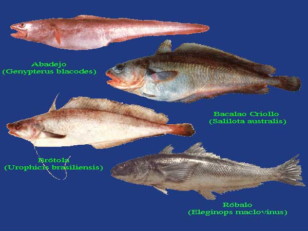 Peces argentinos