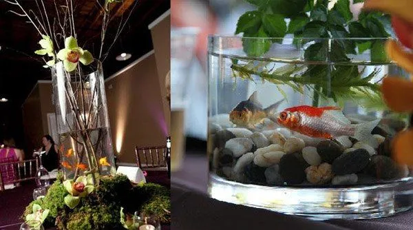 Peces en tu boda - Una Boda Original - Blog de bodas Peces en tu boda - Una Boda Original - Blog de bodas